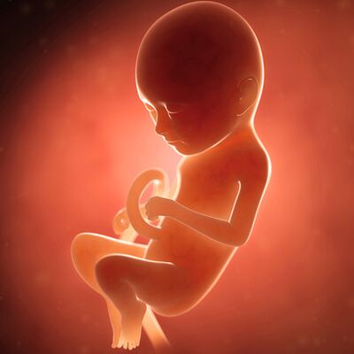 Gebeliğin 32. haftasında neler oluyor?