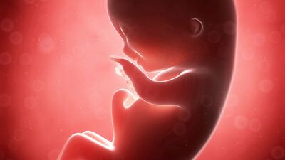 Gebeliğin 12. haftasında neler oluyor?