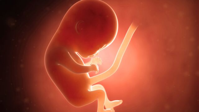 Gebeliğin 13. haftasında neler oluyor?