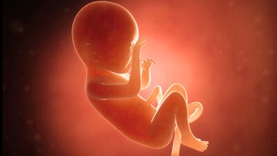 Gebeliğin 37. haftasında neler oluyor?