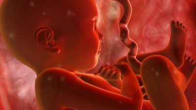 Gebeliğin 34. haftasında neler oluyor?