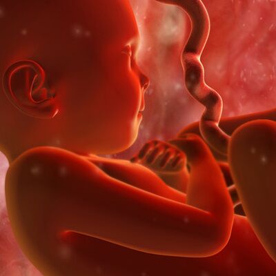 Gebeliğin 34. haftasında neler oluyor?