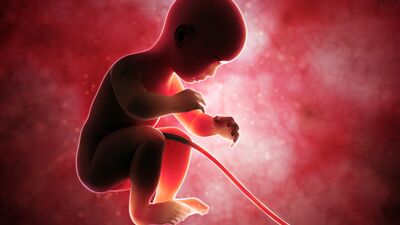 Gebeliğin 35. haftasında neler oluyor?