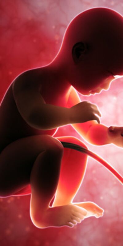 Gebeliğin 35. haftasında neler oluyor?