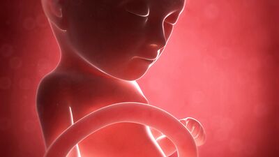 Gebeliğin 38. haftasında neler oluyor?