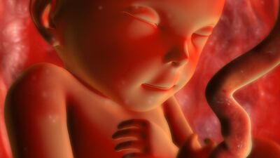 Gebeliğin 39. haftasında neler oluyor?