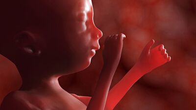 Gebeliğin 36. haftasında neler oluyor?