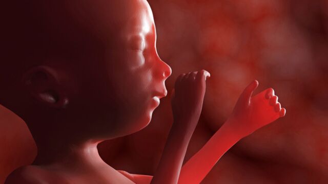 Gebeliğin 36. haftasında neler oluyor?