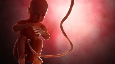 Gebeliğin 40. haftasında neler oluyor?