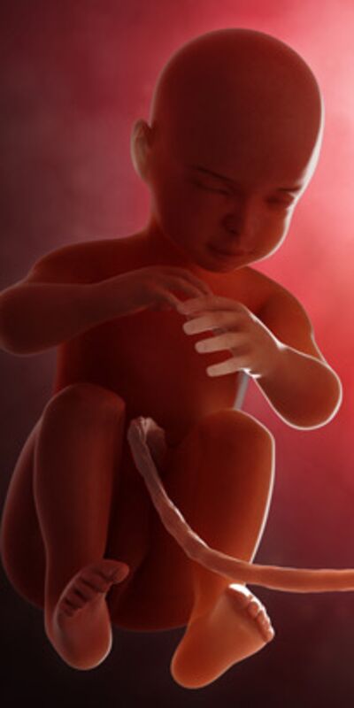 Gebeliğin 40. haftasında neler oluyor?