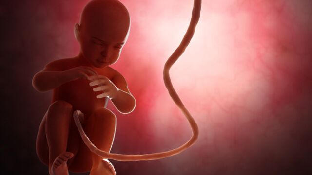 Gebeliğin 40. haftasında neler oluyor?