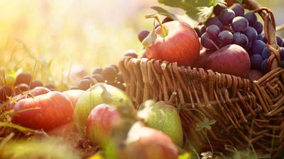 Balkonda sebze yetiştirme