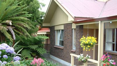 Güneşle birlikte bahçelere enerji geldi!