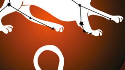 Aslan Burcu Kasım ayı burç yorumu