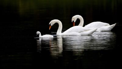 "0 - 18 yaş arası herkes çocuktur, yetişkin muamelesi yapmayın"