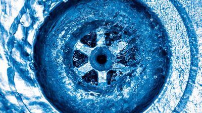 Banyo giderlerindeki enfeksiyon riski