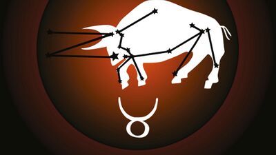 Boğa Burcu yıllık burç yorumu