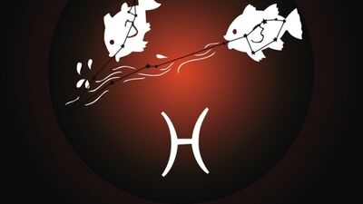 Balık burcu yıllık burç yorumu