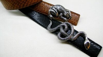 Yılanların dansına katılmaya ne dersiniz?