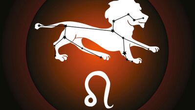 Ocak ayı Aslan burcu yorumu