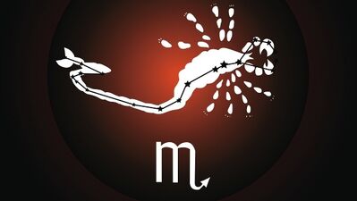 Ocak ayı Akrep burcu yorumu