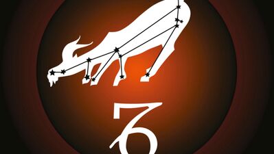 Ocak ayı Oğlak burcu yorumu