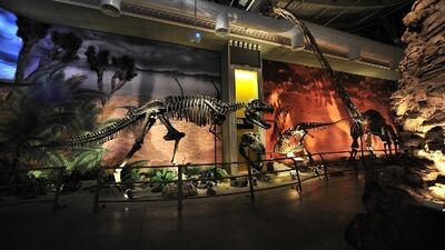 Dikkat dinozor çıkabilir!