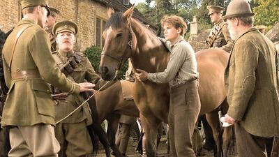 Bir attan "insanlık" dersleri