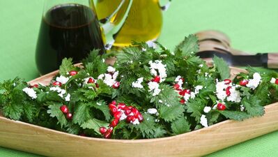 Isırgan otu salatası