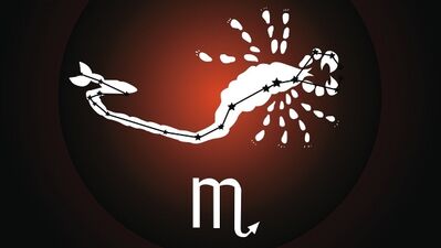 Şubat ayı Akrep burcu yorumu