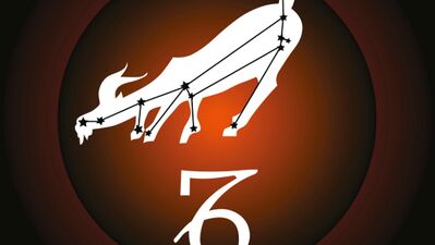 Şubat ayı Oğlak burcu yorumu