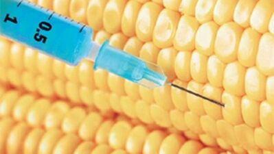 Genetiğiyle oynanmış 1600 gıda maddesi var!