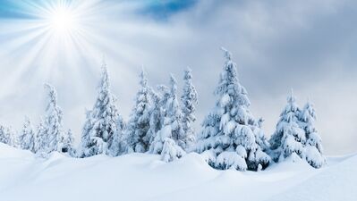 Dünyanın dört bir yanından büyüleyici güzellikte kar manzaraları