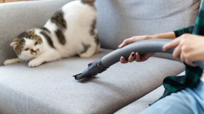 Kolay bahar temizliği