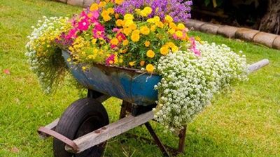 Bahçelerde bahar zamanı!