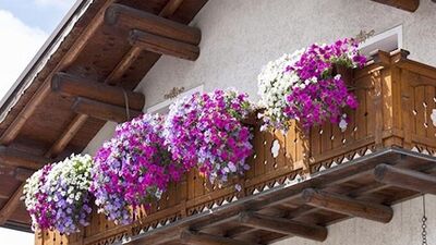 Balkon ve teraslarda bahar dekorasyonu