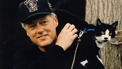 Ünlülerin hayvan sevgisi