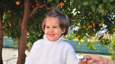 Ayliz Şenli