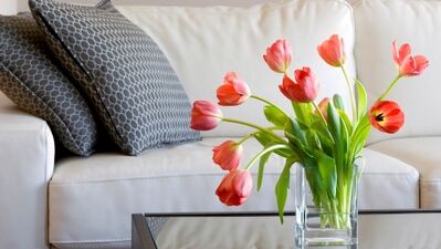 Şıklık ve zarifliği buluşturan modern koltuklar