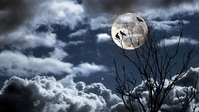 Birbirinden ilginç dolunay manzaraları