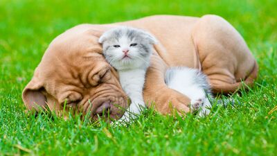 Bahar yorgunluğuna dair her şey!