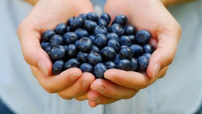 En güçlü antioksidan kaynakları kuru erik ve kuru üzüm çekirdeği...