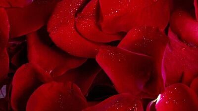 Suna Dumankaya'dan vücudunuz için doğal tarifler...