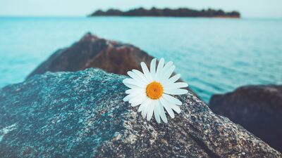 Kendi başınıza keyifli zaman geçirmek için öneriler