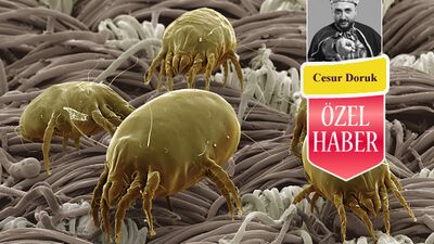 Ev tozu alerjisine karşı alınması gereken önlemler!