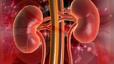 Limon ve portakal suyu böbrek taşı oluşma riskini düşürüyor!