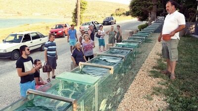 Akvaryumdan duvar Çeşme'nin gözdesi