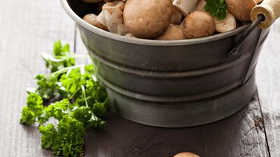 Bir mantar bile sizi organ yetmezliğine götürebilir!