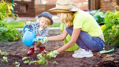 Organik bahçe nasıl yapılır?