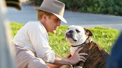 Hollywood'un yakışıklı erkekleri ve onların köpekleri…